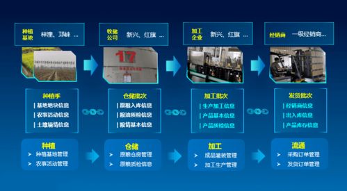 科技賦能，守護(hù)“天府糧倉”——川糧集團(tuán)以全產(chǎn)業(yè)鏈云碼溯源引領(lǐng)糧油質(zhì)量安全新標(biāo)桿